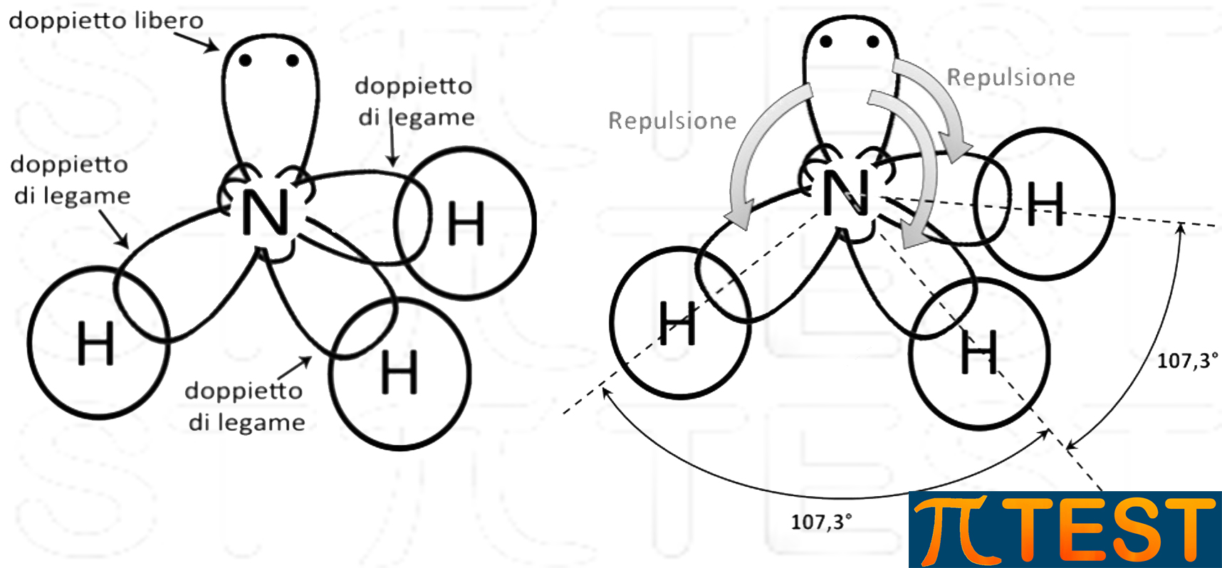 Che tipo di ibridizzazione ha lo zolfo nell'acido solforico? Essendo la  molecola tetraedrica mi verrebbe da pensare ibridazione sp3, ma lo zolfo  forma un dippio legame con due degli ossigeni e quindi