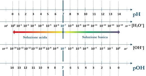 Calcola Il Ph Delle Seguenti Soluzioni